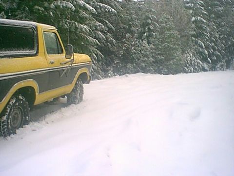 1979 Ford Bronco - Cool Picture