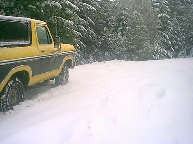 Yellow and black Ford Bronco parked on a snow-covered road by snowy evergreens