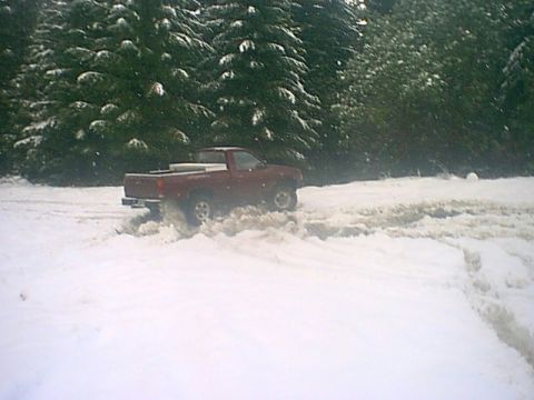 1979 Ford Bronco - Warren Playing