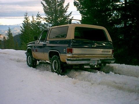 1979 Ford Bronco - Travis's Blazer