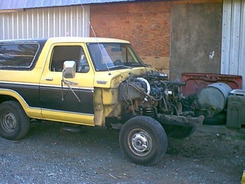 1979 Ford Bronco - Another Before