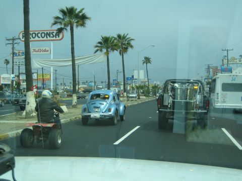 1990 Ford Bronco - blue Baja Beetle numbered 1149 and a prerunner truck drive a palm-lined street while a rider on an ATV passes at left.