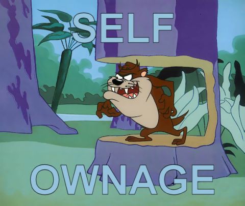 1991 Ford Probe - Tazmanian Devil is depicted in a cartoon scene with the words "SELF OWNAGE" visible.