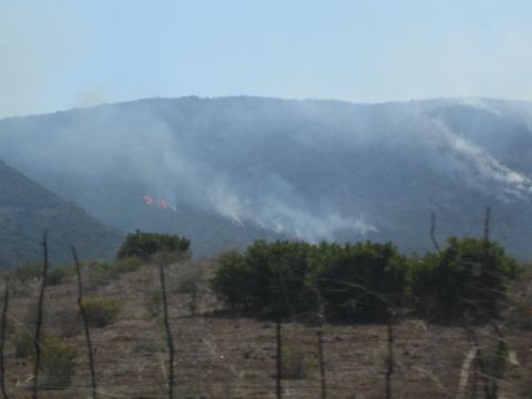 1990 Ford Bronco - Flames and drifting smoke from a wildfire spread across a forested mountainside seen beyond a cleared brushy foreground.