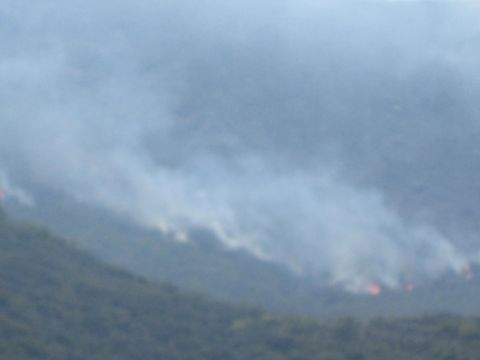 1990 Ford Bronco - Heavy smoke and scattered orange flames creep across a hazy forested hillside during an active wildfire.