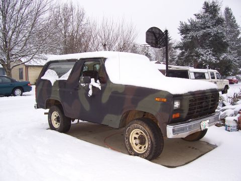 1984 Ford Bronco - it drives now