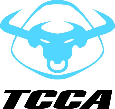 1993 Ford Taurus - Logo for TCCA, a bull head graphic, with Supermotors.net website address.
