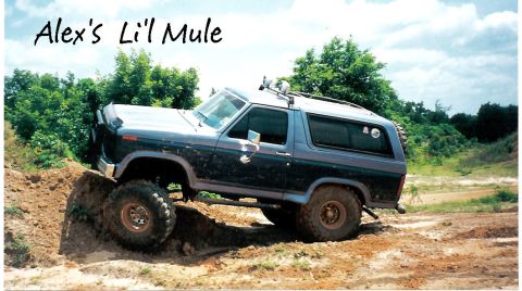 1981 Ford Bronco photo