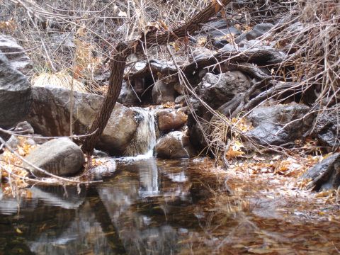 1984 Ford Bronco - A tranquil natural scene captures a small waterfall cascading over rocks, surrounded by bare branches and fallen autumn leaves.