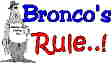 1981 Ford Bronco photo