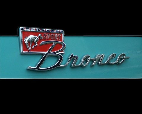 1979 Ford F-150 - This emblem reads 'Bronco Sport' and features a chrome horse graphic.
