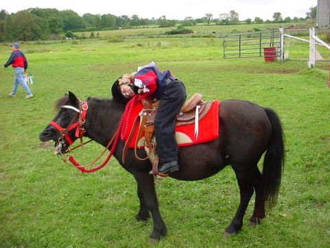 1990 Ford Bronco - A child naps on a pony in a grassy field, while another person walks nearby.