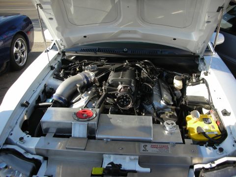1998 Ford Crown Victoria - The engine bay of a white car features a prominent supercharger and a "2003 Cobra Terminator" badge, with another vehicle visible to the le…