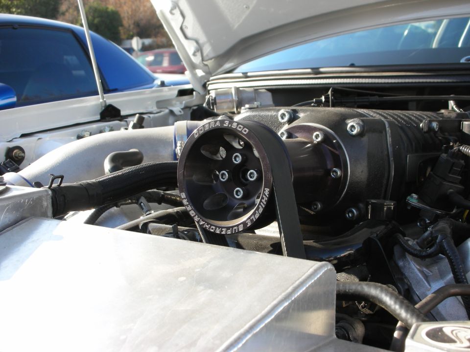 Whipple supercharger pulley reading Cobra 3.500 in engine bay