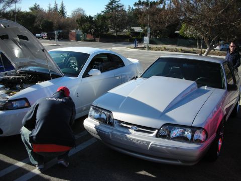 1998 Ford Crown Victoria - A silver Ford Mustang with a prominent hood scoop and "MUSTANGS" badging is parked next to a white Mustang with its hood open.