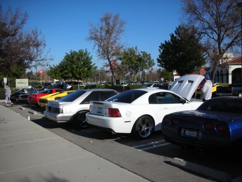 1998 Ford Crown Victoria - Several sports cars, including a white Mustang Cobra and a blue Corvette, are parked in a lot on a sunny day.