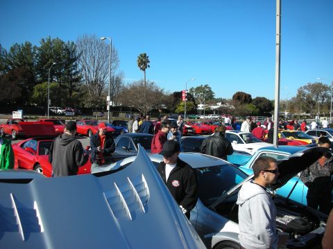 1998 Ford Crown Victoria - wide view of an outdoor car meet, crowds milling among parked sports cars with hoods open beneath palm trees and blue sky.