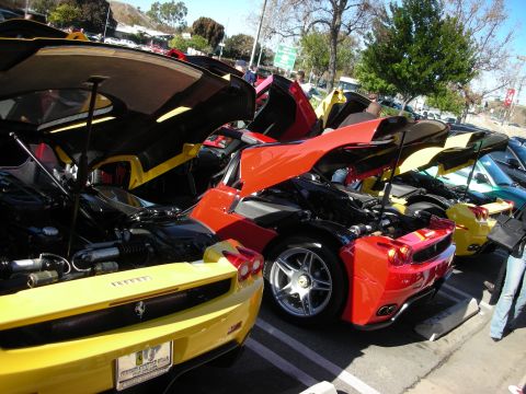 1998 Ford Crown Victoria - Yellow and red Ferrari Enzo supercars sit with engine covers open, exposing their bays, at a sunny outdoor gathering.