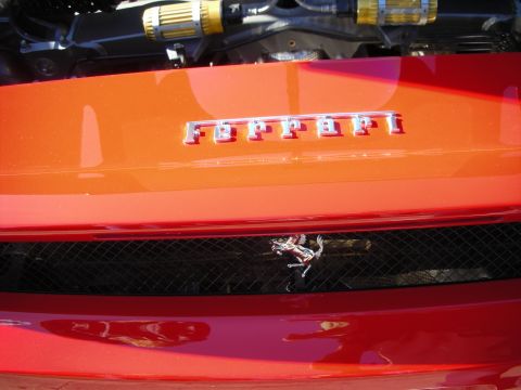 1998 Ford Crown Victoria - close-up of a red engine cover showing chrome Ferrari lettering above the prancing-horse emblem on a black mesh grille.