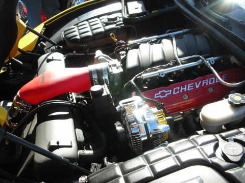 1998 Ford Crown Victoria - open engine bay showing a Chevrolet V8 with red Chevrolet-lettered valve covers, chrome alternator and a red air intake.