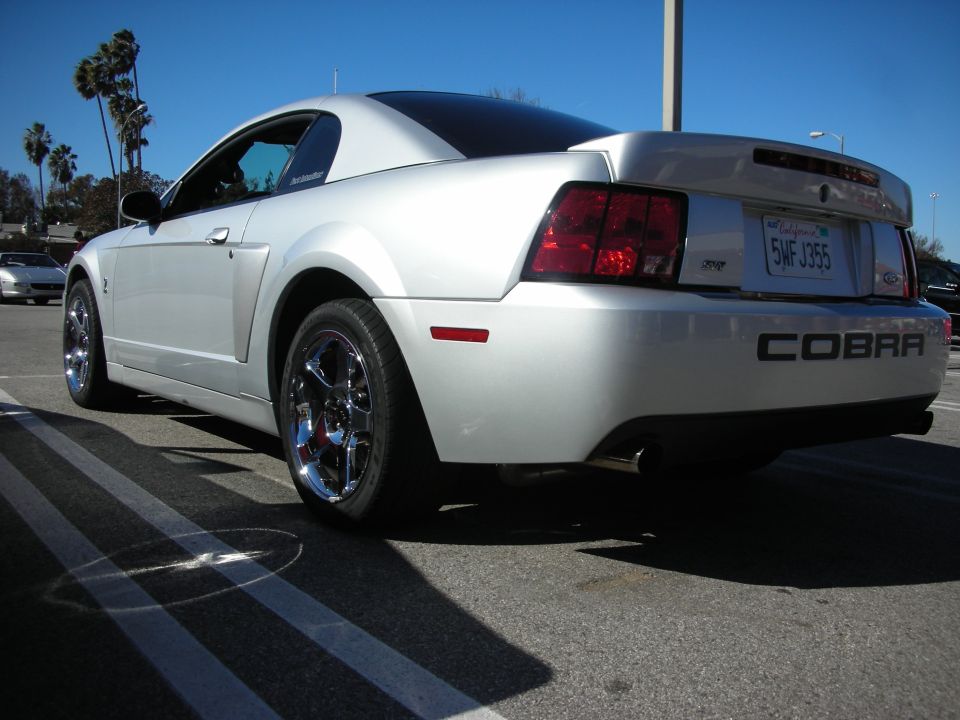Silver Ford Mustang SVT Cobra coupe, rear-quarter view with chrome wheels