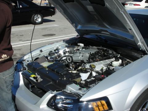 1998 Ford Crown Victoria - Silver Ford Mustang with hood up revealing a supercharged engine bay, a person standing to the left.