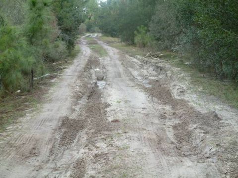1992 Ford Bronco - A muddy dirt road with deep ruts and tire tracks cuts through a wooded area.