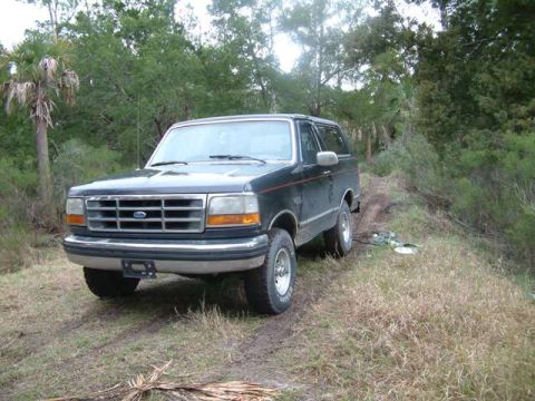 1992 Ford Bronco - This 1992 Ford Bronco is parked off-road, surrounded by natural vegetation.