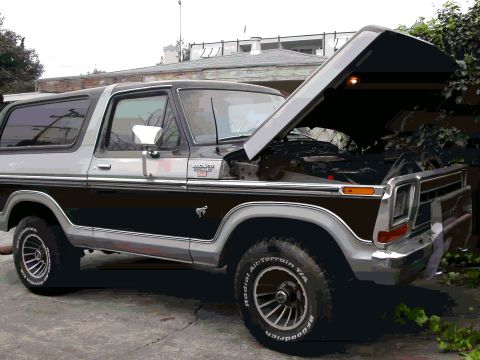 1979 Ford Bronco - This 1979 Ford Bronco is shown with its hood open, revealing the engine compartment.