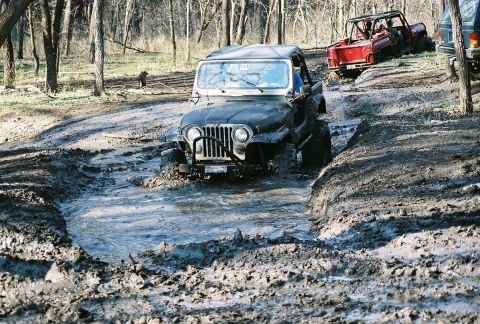 1981 Jeep CJ7 - Multiple Jeeps tackle a challenging muddy obstacle course in a forest setting.
