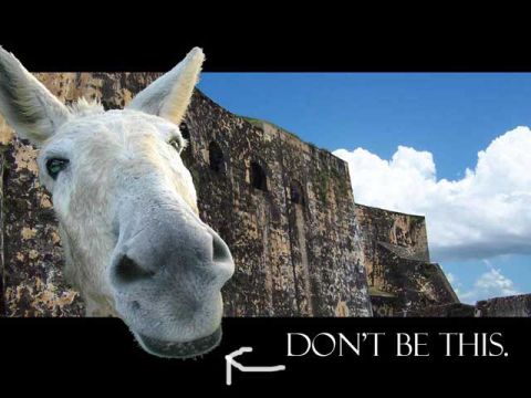 1992 Ford Taurus - A donkey is pictured in front of a stone structure, with text that reads "DON'T BE THIS."