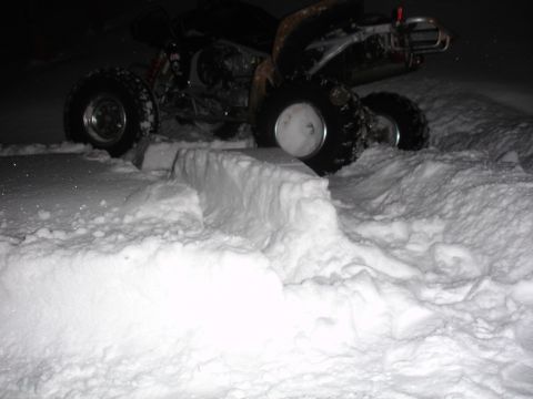 2005 Honda TRX 450 R photo