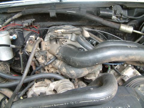 1992 Ford Bronco - Close-up view of an engine bay, showing various hoses and electrical components.