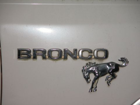 1990 Ford Bronco - Close-up of a chrome Bronco nameplate and a chrome horse emblem on a white background.