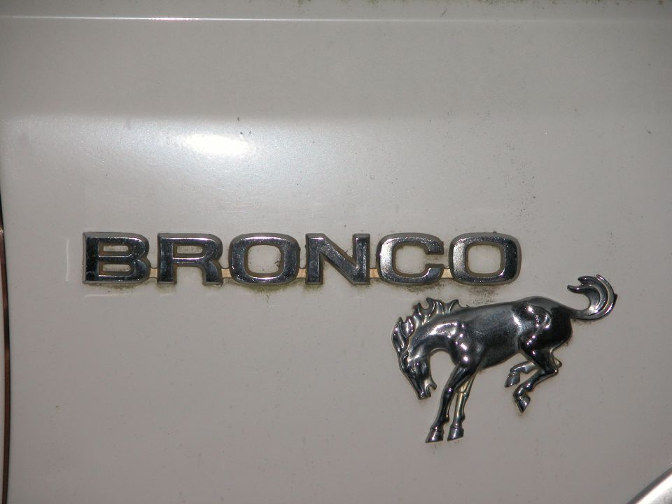 Chrome BRONCO lettering and bucking horse emblem on a white body panel