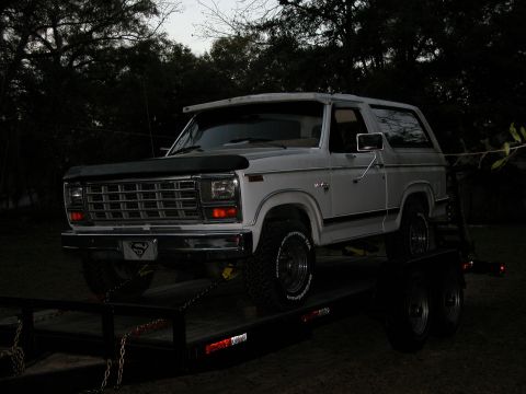1981 Ford Bronco photo