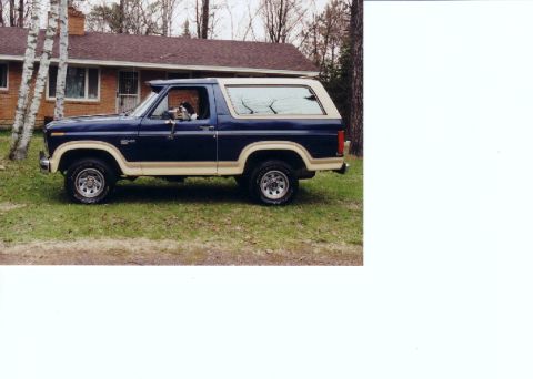 1986 Ford Bronco photo