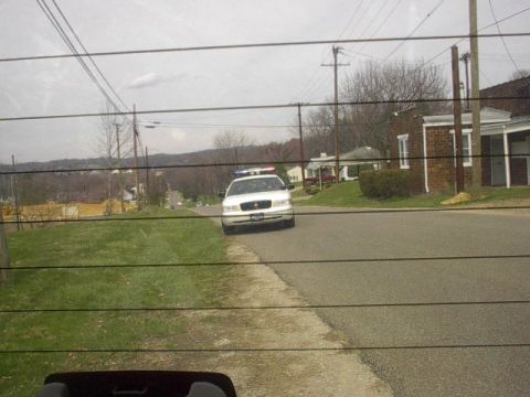 1994 Ford Taurus photo