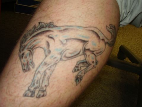 1995 Ford Bronco - New Tatoo