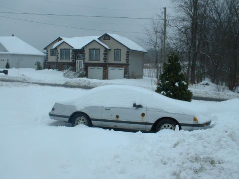 1994 Ford Taurus photo