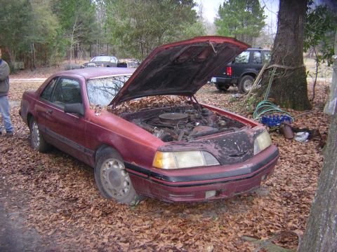 1987 Ford Thunderbird - Maroon 1987 Ford Thunderbird coupe sits on fallen leaves with its hood open, an SUV parked behind it.