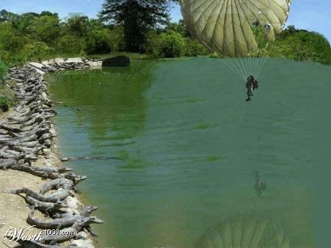 1968 Ford Mustang - A skydiver is about to land in a lake, with many crocodiles waiting on the bank.