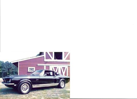 1968 Shelby GT500 - 1968 Shelby GT500 with side stripe and GT500 badging, parked outdoors.