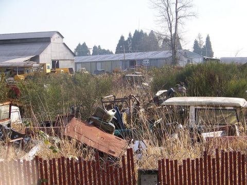 1968 Ford Bronco - A cluttered junkyard scene with multiple vehicles and parts visible amongst tall grass and vegetation.