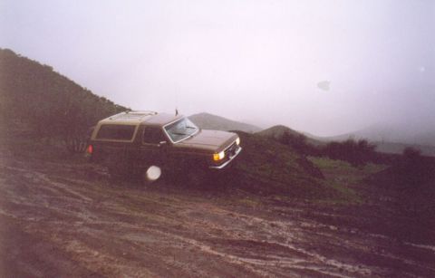 1989 Ford Bronco photo