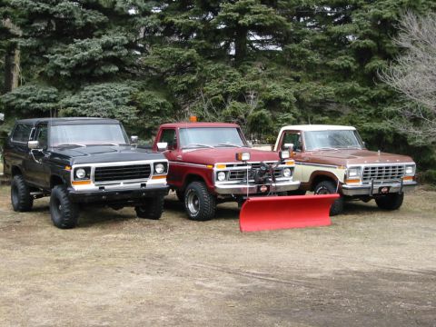 1978 Ford F-250 photo