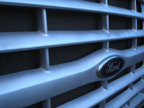 1999 Ford F-800 - grill bug screen