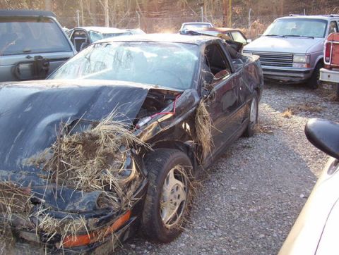 1995 Ford Probe - Wrecked 1995 Ford Probe in a junkyard, showing extensive front-end damage and overgrown vegetation.