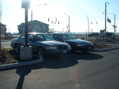 2000 Ford Crown Victoria - Two Ford Crown Victorias are parked in a lot under a bright sky with traffic lights visible.
