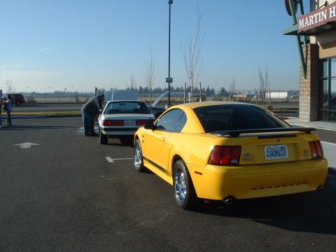 2000 Ford Crown Victoria - A yellow 2000 Ford Mustang is parked in a lot, showing its rear end and a custom license plate.